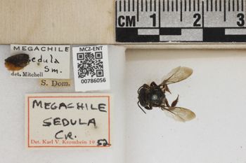 Media type: image;   Entomology 786056 Aspect: Labels